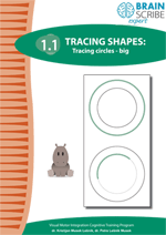 OK Brainscribe expert Tracing shapes 11