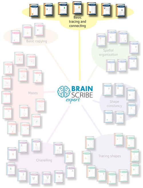 Brainscribe expert scheme W 500 basic tr
