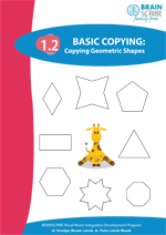 BSFF Basic Copying 12.gif