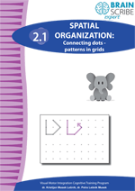 OK Brainscribe expert Spatial organizati
