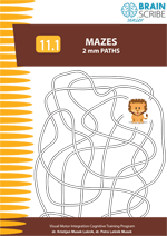 OK Brainscribe senior Mazes 111 W 150.gi