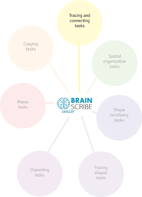 Brainscribe senior scheme W 400 tracing