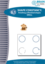 OK Brainscribe expert Shape constancy 61