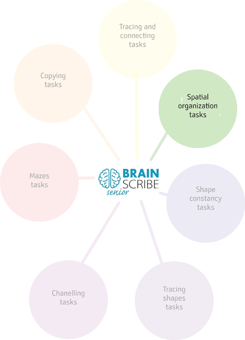 Brainscribe senior scheme W 400 spatial