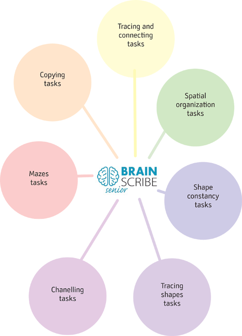 Brainscribe senior scheme W 400 complete