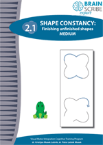 OK Brainscribe expert Shape constancy 21
