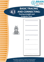 OK Brainscribe expertTracing and connect