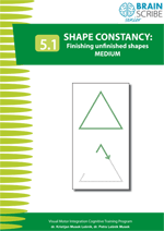 OK Brainscribe senior Shape constancy 51