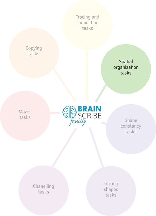 Brainscribe family structure w 500 SPATI