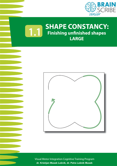 OK Brainscribe senior Shape constancy 11