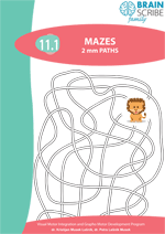 OK Brainscribe family Mazes 111 W 150.gi