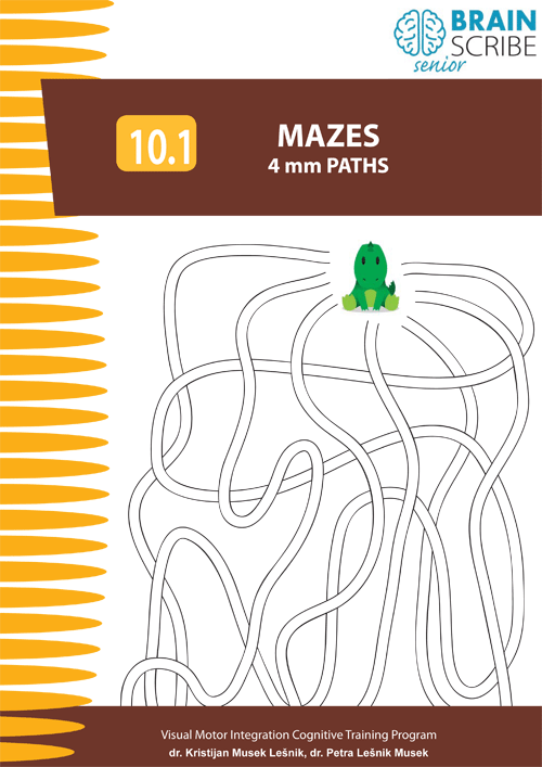 OK Brainscribe senior Mazes 101 W 500.gi