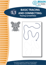 OK Brainscribe expertTracing and connect