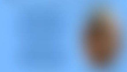 Za otroke je zdravo, da občasno slišijo NE. Za starše pa, da občasno rečejo NE.