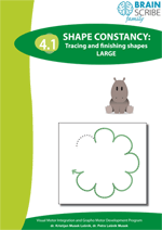 OK Brainscribe family Shape constancy 41