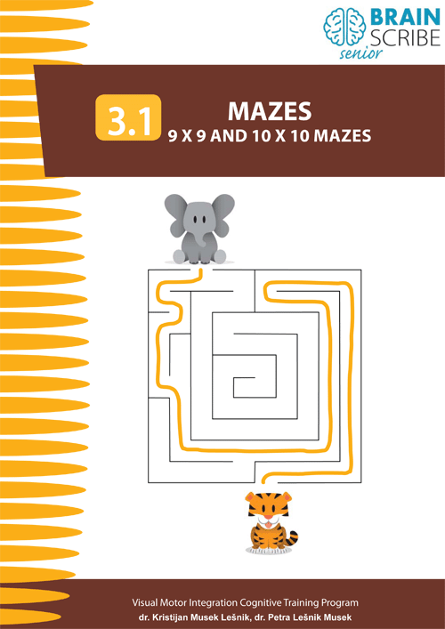 OK Brainscribe senior Mazes 31 w 500.gif