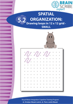 OK Brainscribe expert Spatial organizati