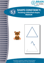 OK Brainscribe expert Shape constancy 51