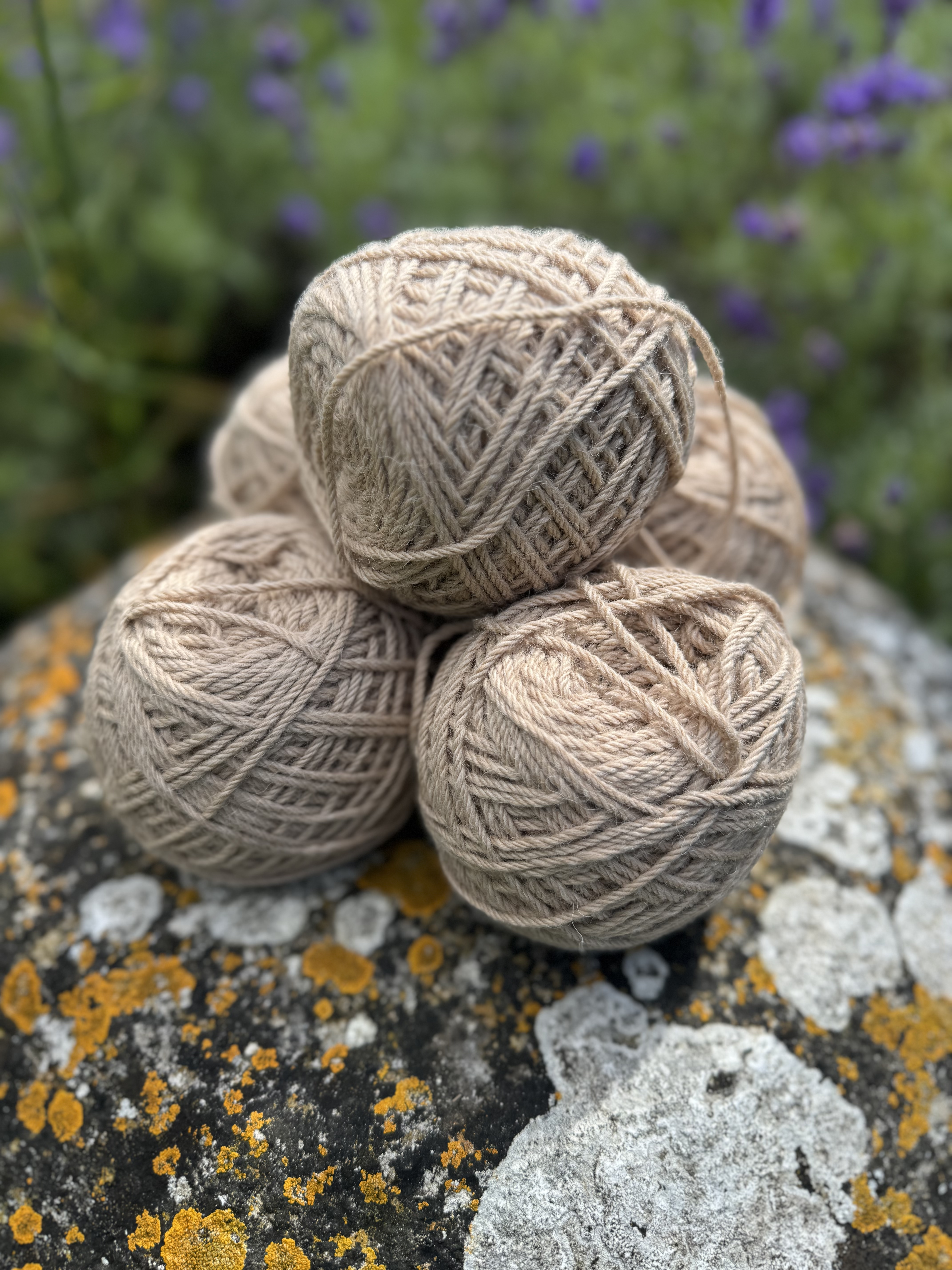 Biscuit Fawn Alpaca Yarn