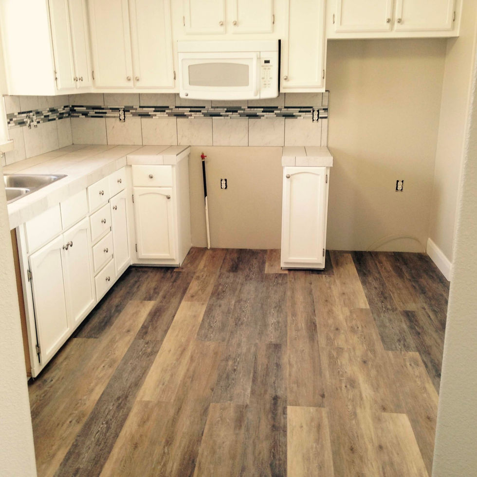 IMG_20250111_155855 (18).jpg