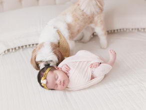 Antonella | Ensaio Newborn