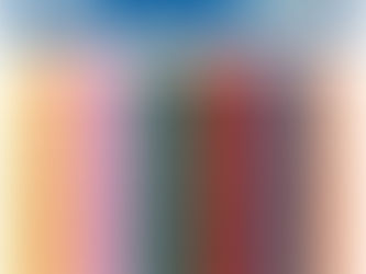 Math Lesson- Reflection