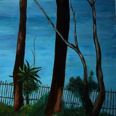 Arcachon det 2