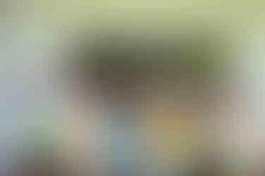 Șapte copii prezentând picturi realizate de ei cu floarea-soarelui, într-o activitate de vară.