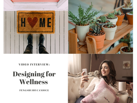Indoor Pollution and Designing for Wellness with Meagan Peterson