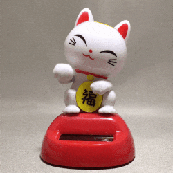 Feng Shui Is More Than Decor: A real case