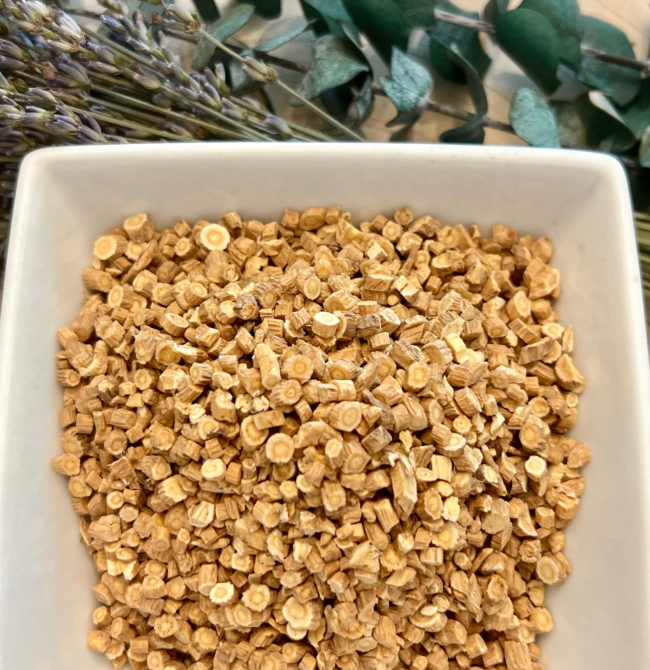 Astragalus Root