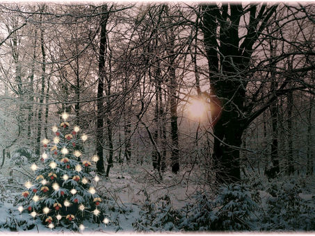 Merry Christmas!! Joyeux Noel!! Happy Holidays!!