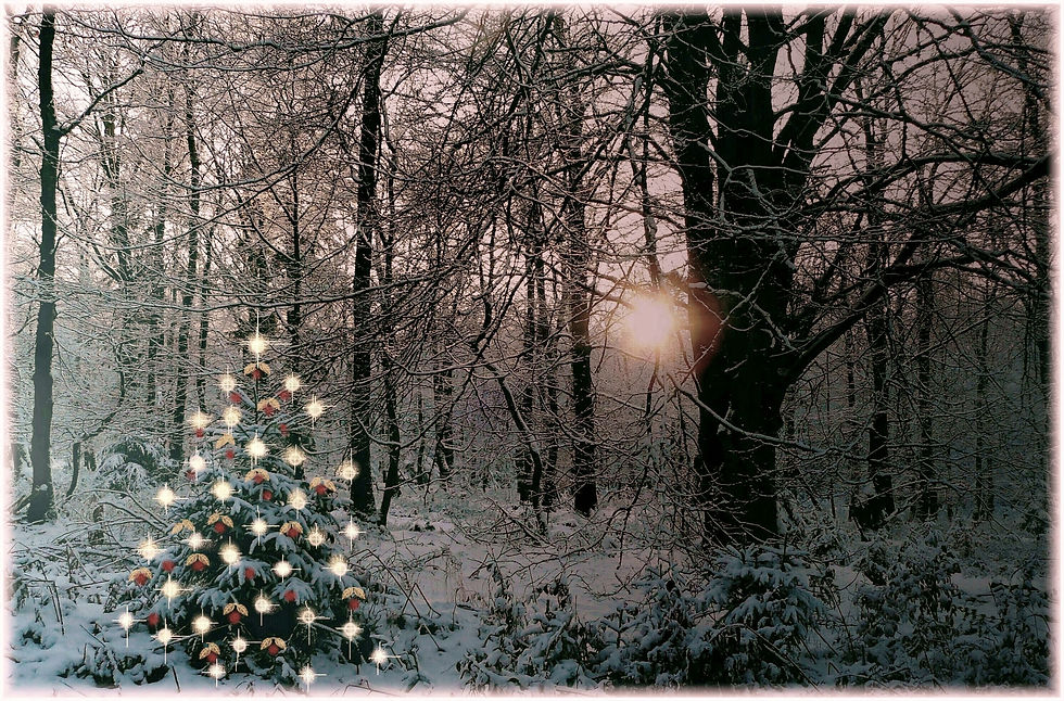 Merry Christmas!! Joyeux Noel!! Happy Holidays!!