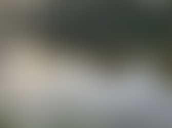 Catch Report 09/04/2026