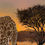Thumbnail: Giraffe at the waterhole