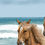 Thumbnail: Horses on the beach