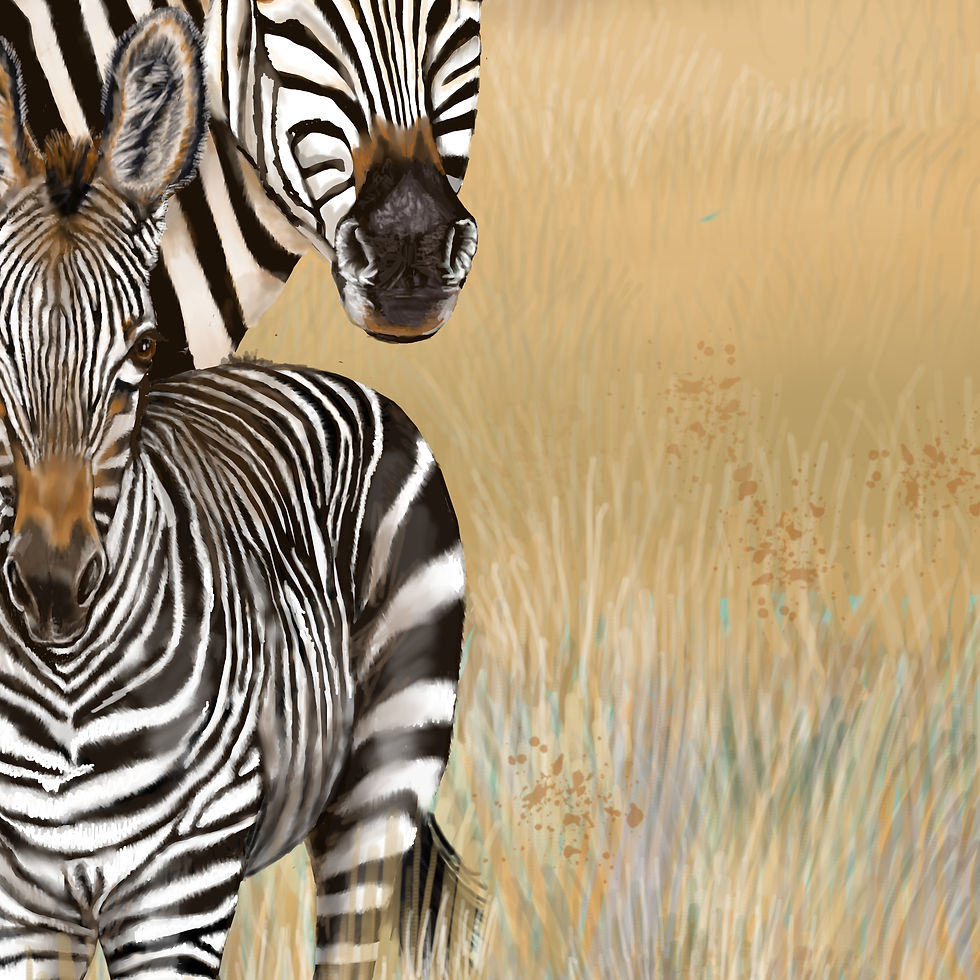Thumbnail: Zebra family