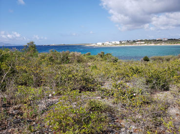 WhatsApp Image 2023-04-23 at 8.35.26 AM.jpeg