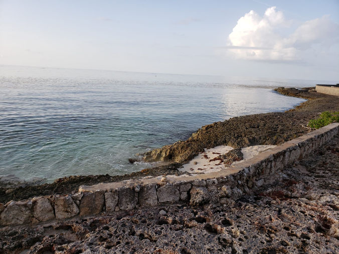 WhatsApp Image 2023-04-24 at 4.39.39 PM.jpeg