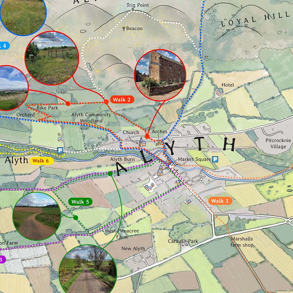 Map1b.jpg