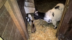 WP_20160325_10_03_51_Pro