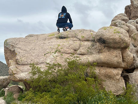 clickable link to the butterfly phoenix hoodie