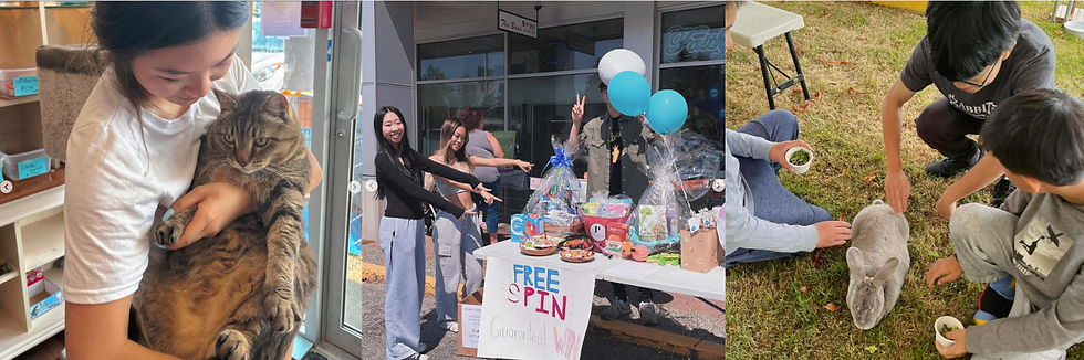 Screen Shot 2024-07-29 at 3.32.40 PM.png