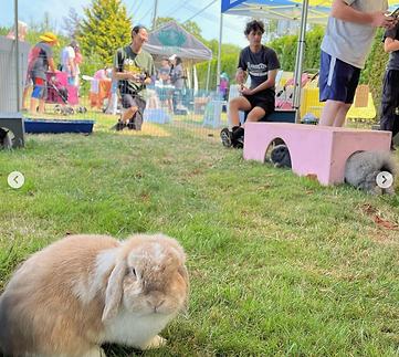 Screen Shot 2024-07-29 at 11.15.23 AM.png