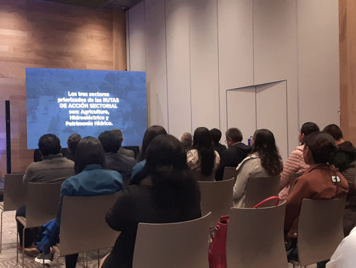 Ruta de Acción Sectorial