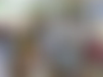 ACCIÓN POR EL CAMBIO EN LIMONES CANTóN ELOY ALFARO