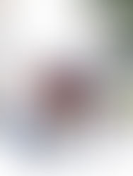 AXC HONRA LA MEMORIA Y EL LEGADO DE ROLDÓS