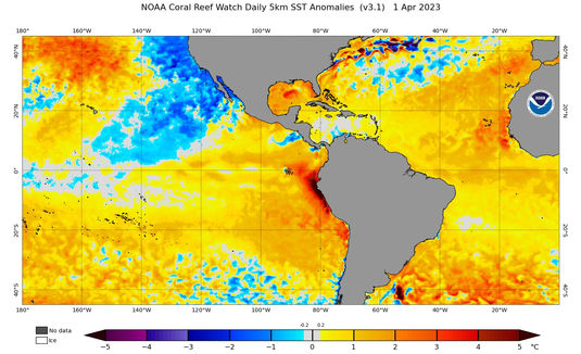 LASSO Y EL NIÑO, TRAS PIEDRAS PALOS