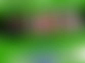 Foro Agropecuario sobre TLC con USA