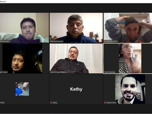 ZOOM CON PLATAFORMA POR QUITO